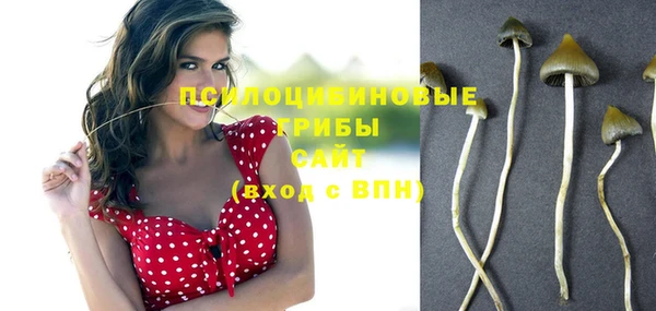 стафф Белокуриха